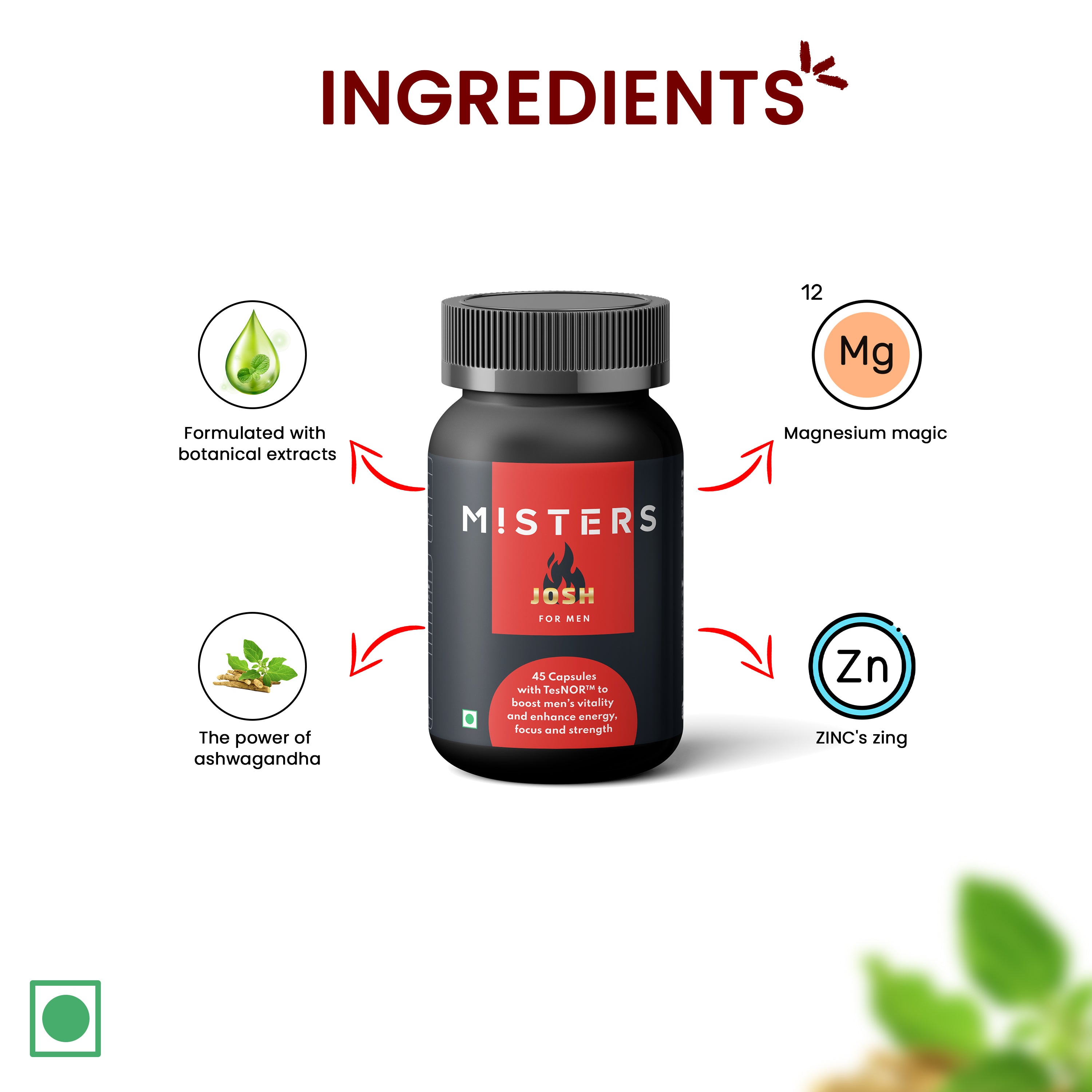 Misters Daily Josh (60 Capsules)