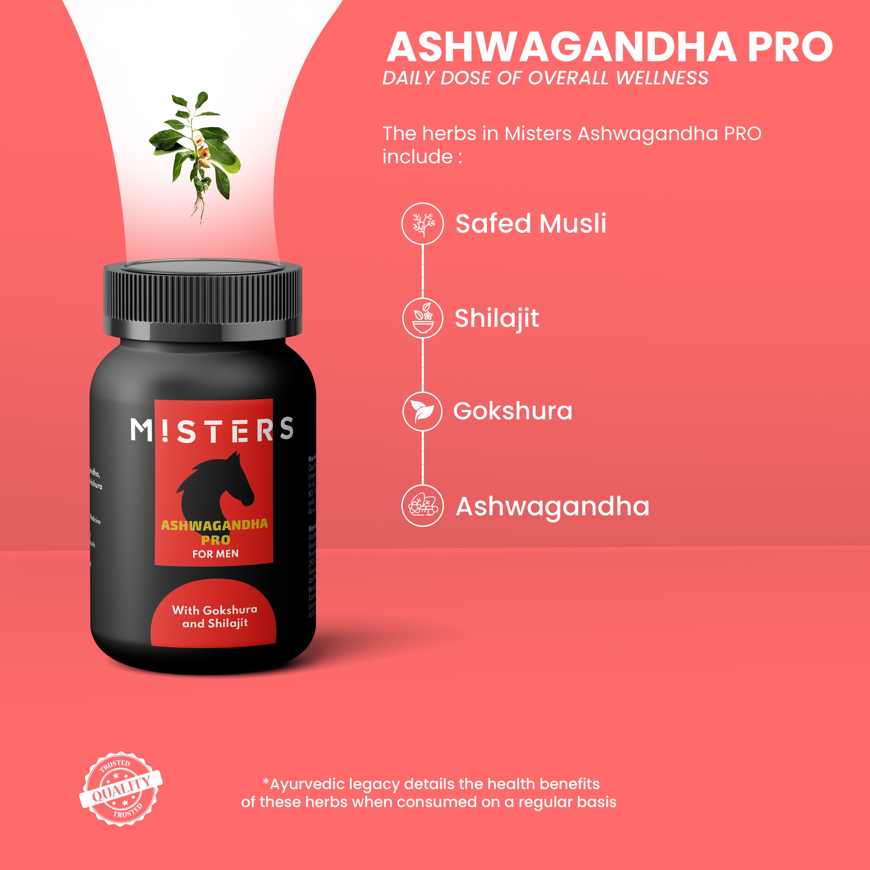 Misters Ashwagandha Pro (60 Caps)